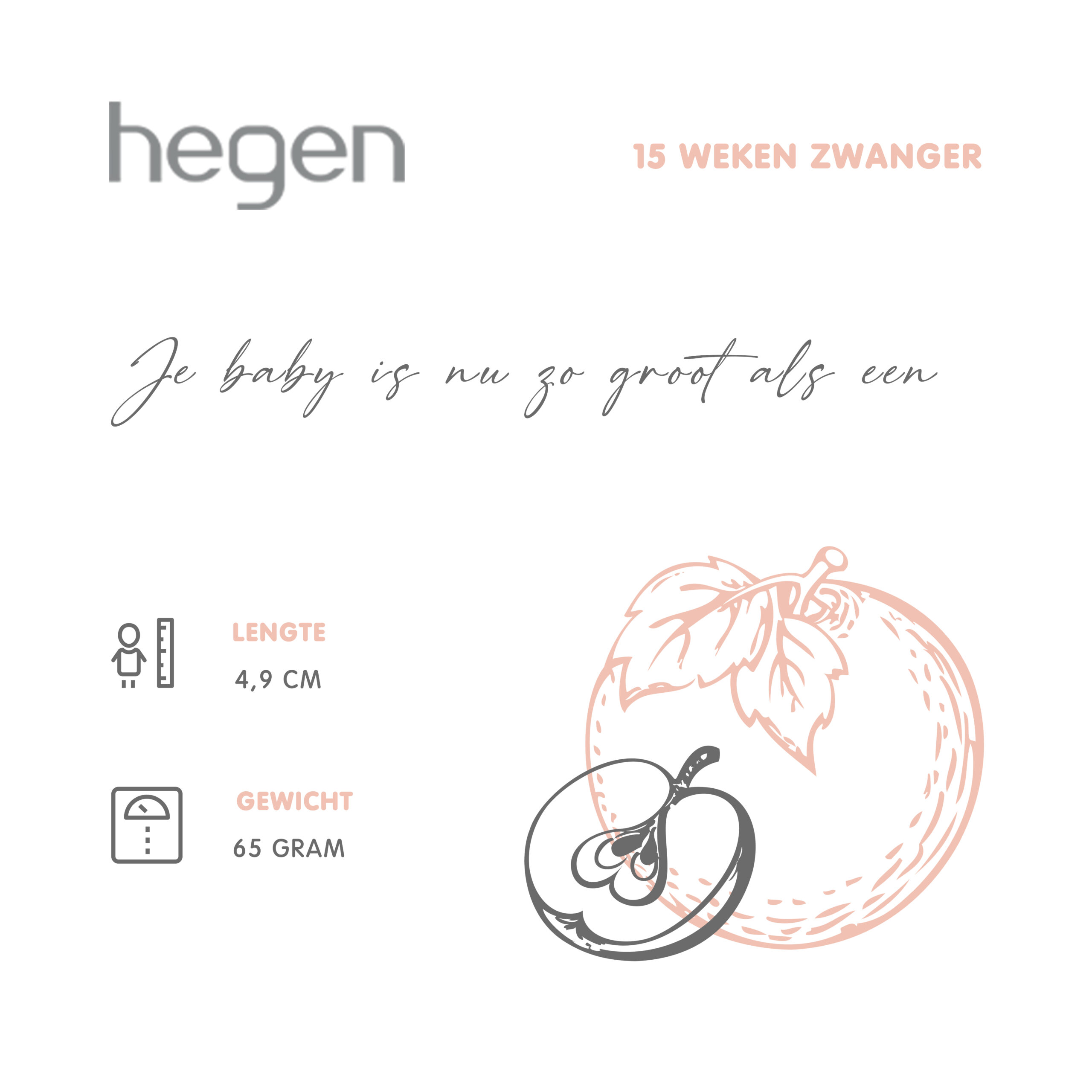 15 weken zwanger