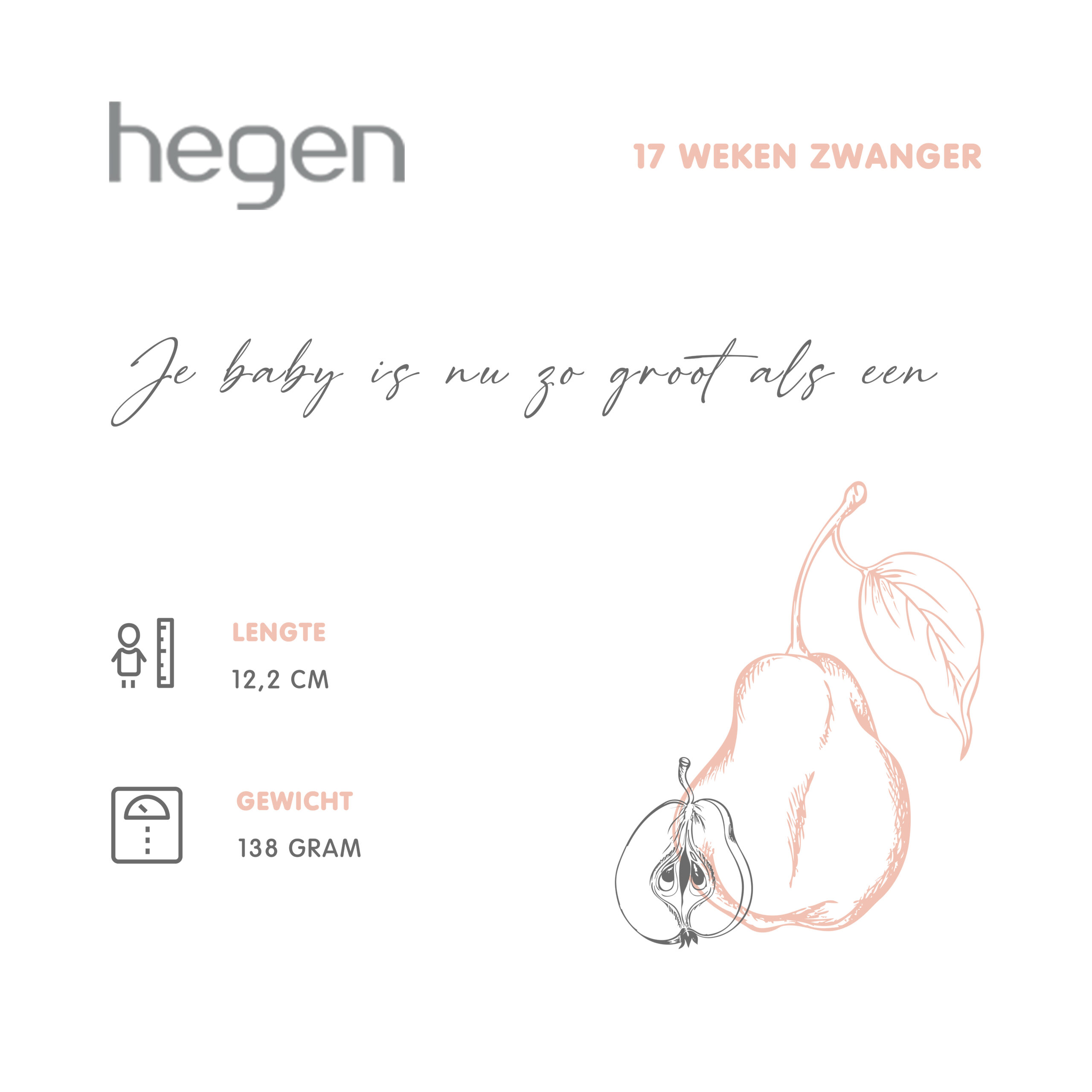 17 weken zwanger